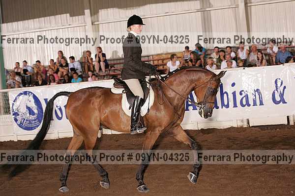 Proof 09yn-04325