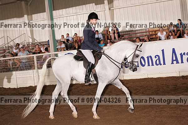 Proof 09yn-04326