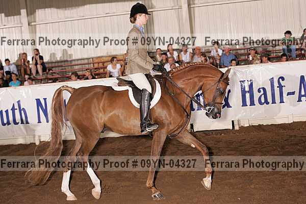 Proof 09yn-04327