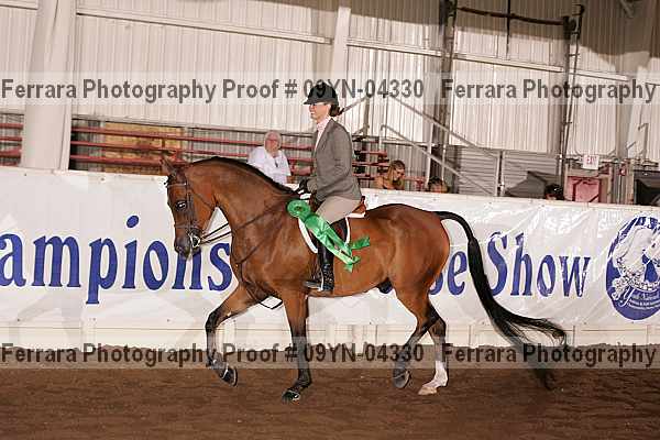 Proof 09yn-04330