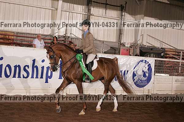 Proof 09yn-04331
