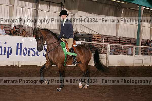 Proof 09yn-04334