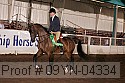 09yn-04334 proof