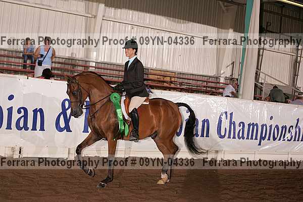 Proof 09yn-04336