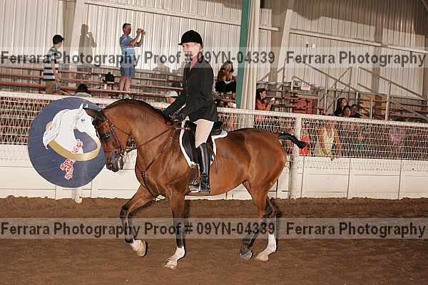 Proof 09yn-04339