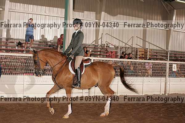 Proof 09yn-04340