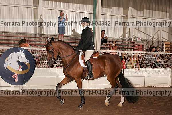 Proof 09yn-04342