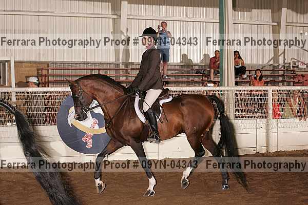 Proof 09yn-04343