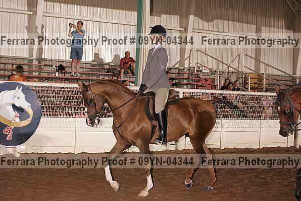 Proof 09yn-04344