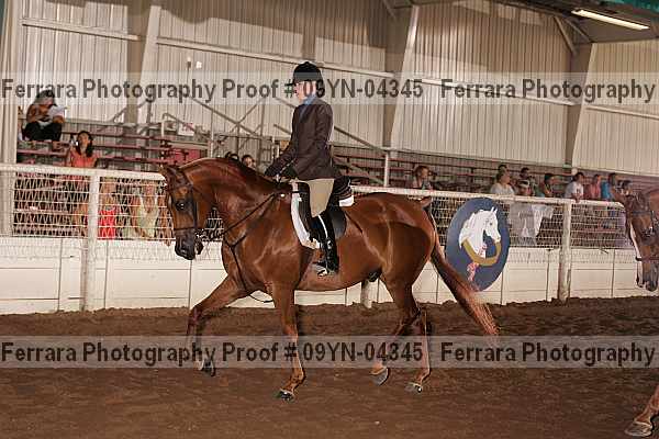 Proof 09yn-04345