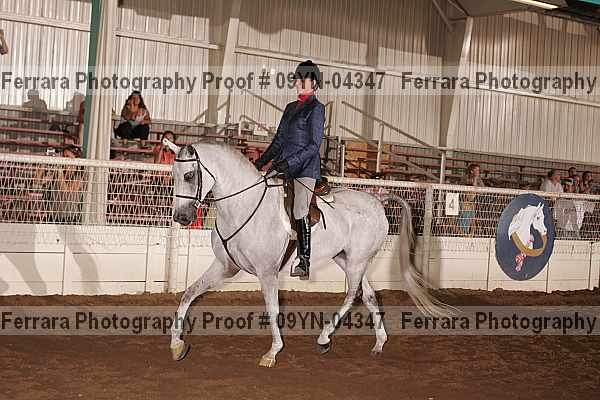 Proof 09yn-04347