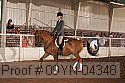 09yn-04348 proof