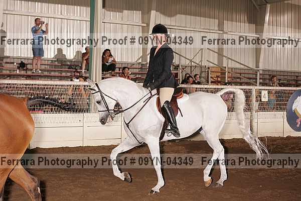 Proof 09yn-04349