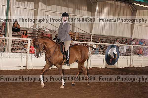 Proof 09yn-04350