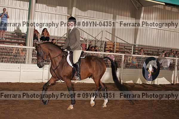 Proof 09yn-04351
