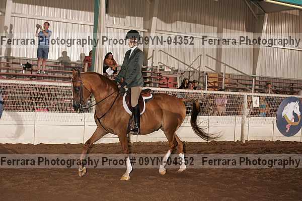 Proof 09yn-04352
