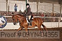 09yn-04355 proof