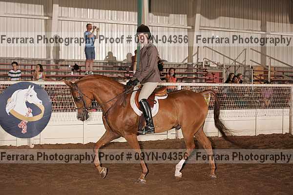 Proof 09yn-04356