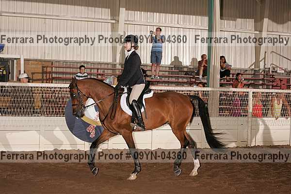 Proof 09yn-04360