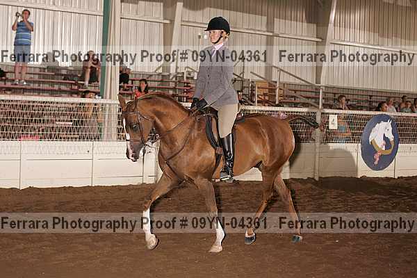 Proof 09yn-04361