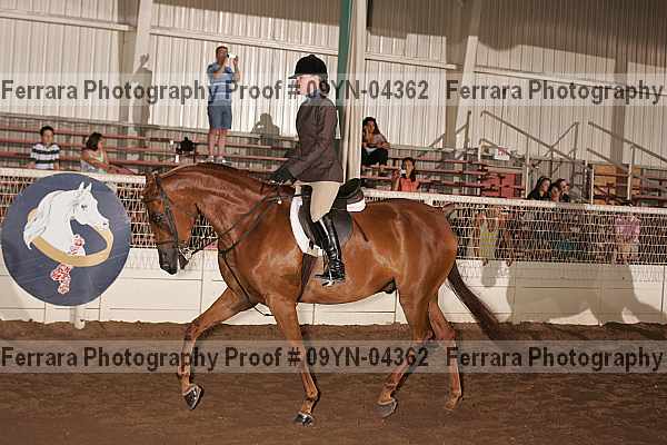 Proof 09yn-04362