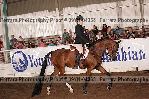 Proof 09yn-04368