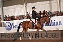 09yn-04368 proof