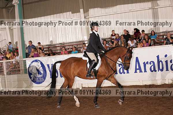 Proof 09yn-04369