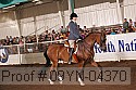 09yn-04370 proof