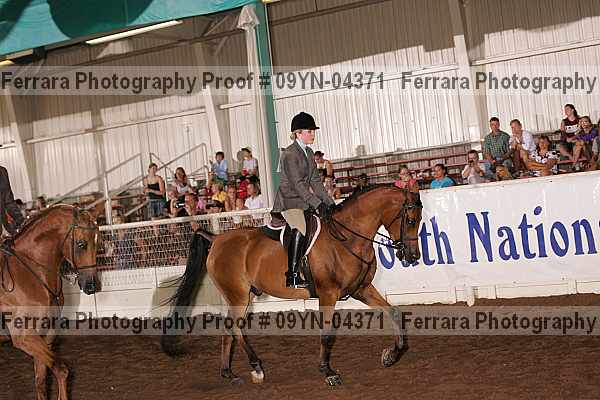 Proof 09yn-04371