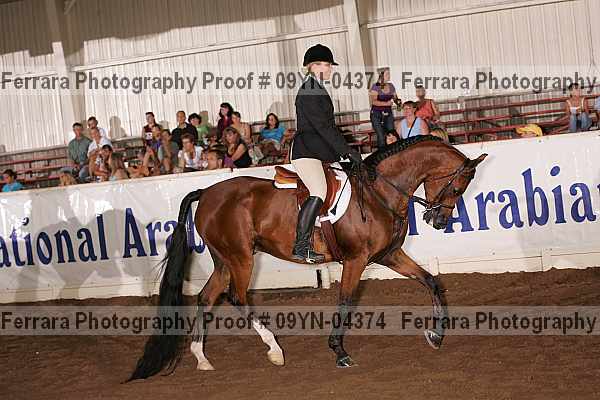 Proof 09yn-04374