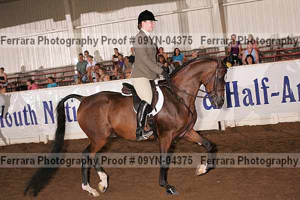 Proof 09yn-04375