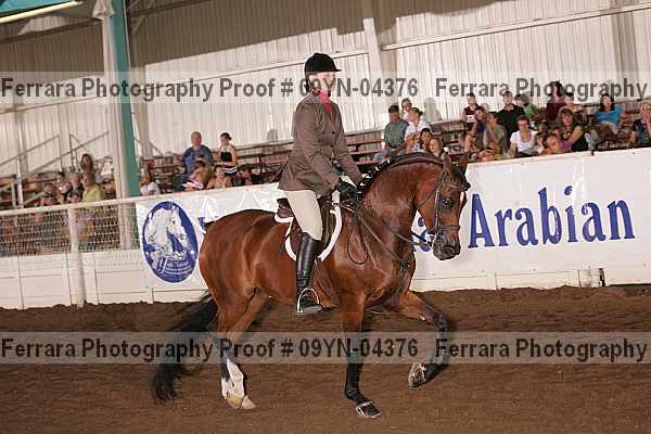 Proof 09yn-04376