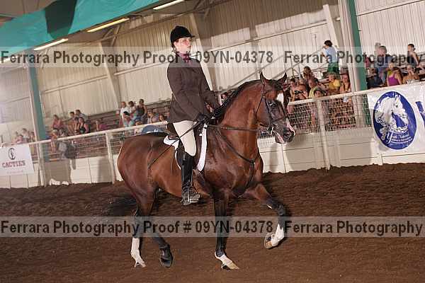 Proof 09yn-04378