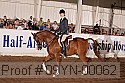 09yn-00062 proof