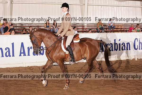 Proof 09yn-00105
