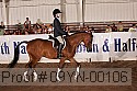 09yn-00106 proof