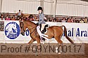 09yn-00117 proof
