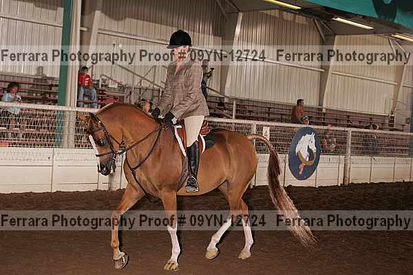 Proof 09yn-12724