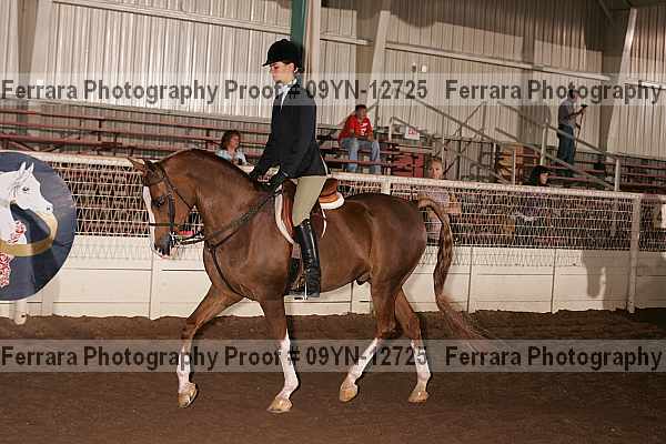 Proof 09yn-12725