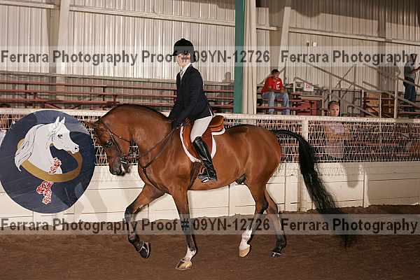 Proof 09yn-12726