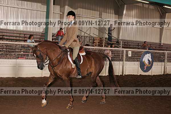 Proof 09yn-12727