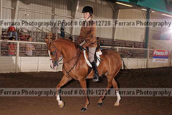 Proof 09yn-12728