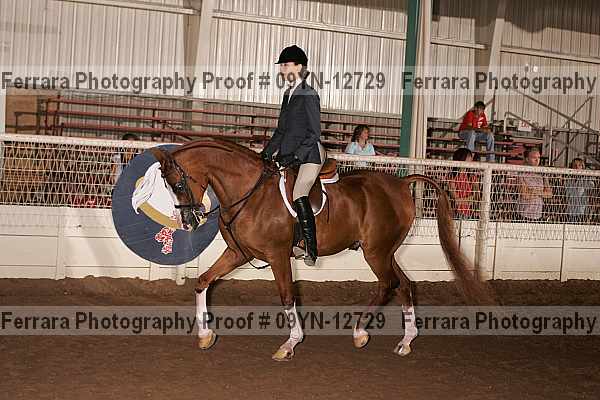 Proof 09yn-12729