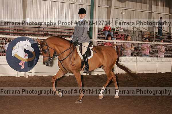 Proof 09yn-12731