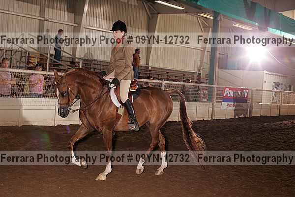 Proof 09yn-12732
