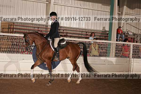 Proof 09yn-12733