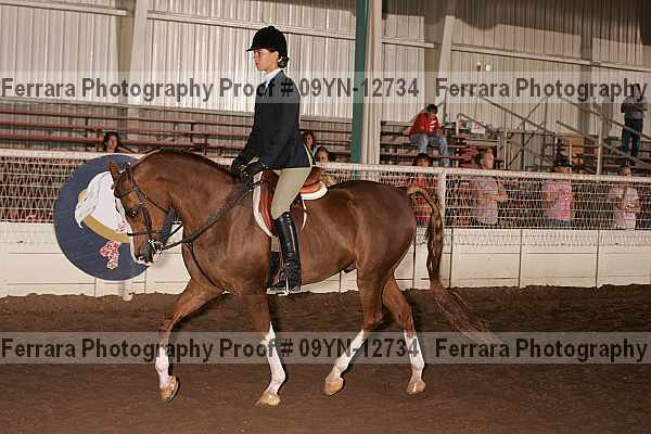 Proof 09yn-12734
