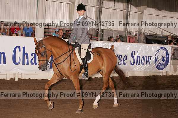 Proof 09yn-12735