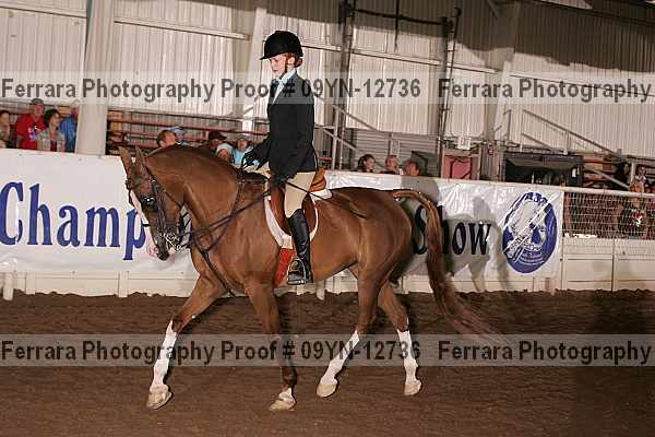 Proof 09yn-12736